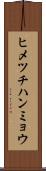 ヒメツチハンミョウ Scroll