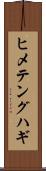 ヒメテングハギ Scroll