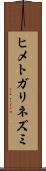 ヒメトガリネズミ Scroll