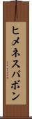 ヒメネスパボン Scroll