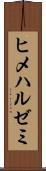 ヒメハルゼミ Scroll
