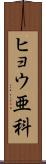 ヒョウ亜科 Scroll