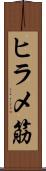ヒラメ筋 Scroll