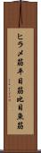 ヒラメ筋 Scroll