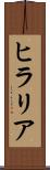 ヒラリア Scroll