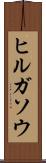 ヒルガソウ Scroll