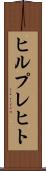 ヒルプレヒト Scroll