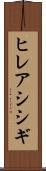 ヒレアシシギ Scroll