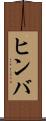 ヒンバ Scroll