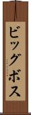 ビッグボス Scroll