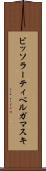 ビッソラーティベルガマスキ Scroll