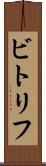ビトリフ Scroll