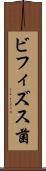 ビフィズス菌 Scroll