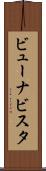 ビューナビスタ Scroll