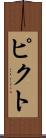 ピクト Scroll
