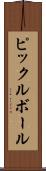 ピックルボール Scroll