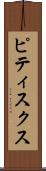 ピティスクス Scroll