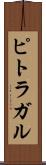 ピトラガル Scroll