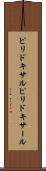 ピリドキサル Scroll