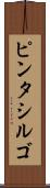 ピンタシルゴ Scroll