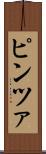 ピンツァ Scroll