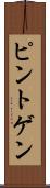 ピントゲン Scroll
