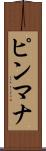 ピンマナ Scroll