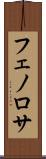 フェノロサ Scroll