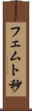 フェムト秒 Scroll