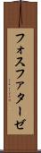 フォスファターゼ Scroll