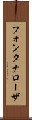 フォンタナローザ Scroll