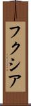 フクシア Scroll