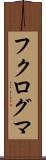フクログマ Scroll