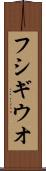 フシギウオ Scroll