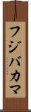 フジバカマ Scroll