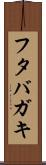 フタバガキ Scroll