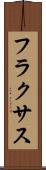 フラクサス Scroll