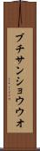 ブチサンショウウオ Scroll