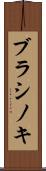 ブラシノキ Scroll