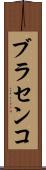 ブラセンコ Scroll