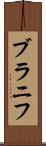 ブラニフ Scroll
