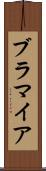 ブラマイア Scroll