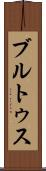 ブルトゥス Scroll