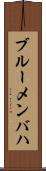 ブルーメンバハ Scroll