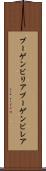 ブーゲンビリア Scroll