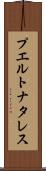 プエルトナタレス Scroll