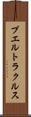 プエルトラクルス Scroll