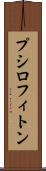 プシロフィトン Scroll