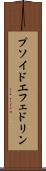 プソイドエフェドリン Scroll