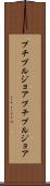 プチブルジョア Scroll